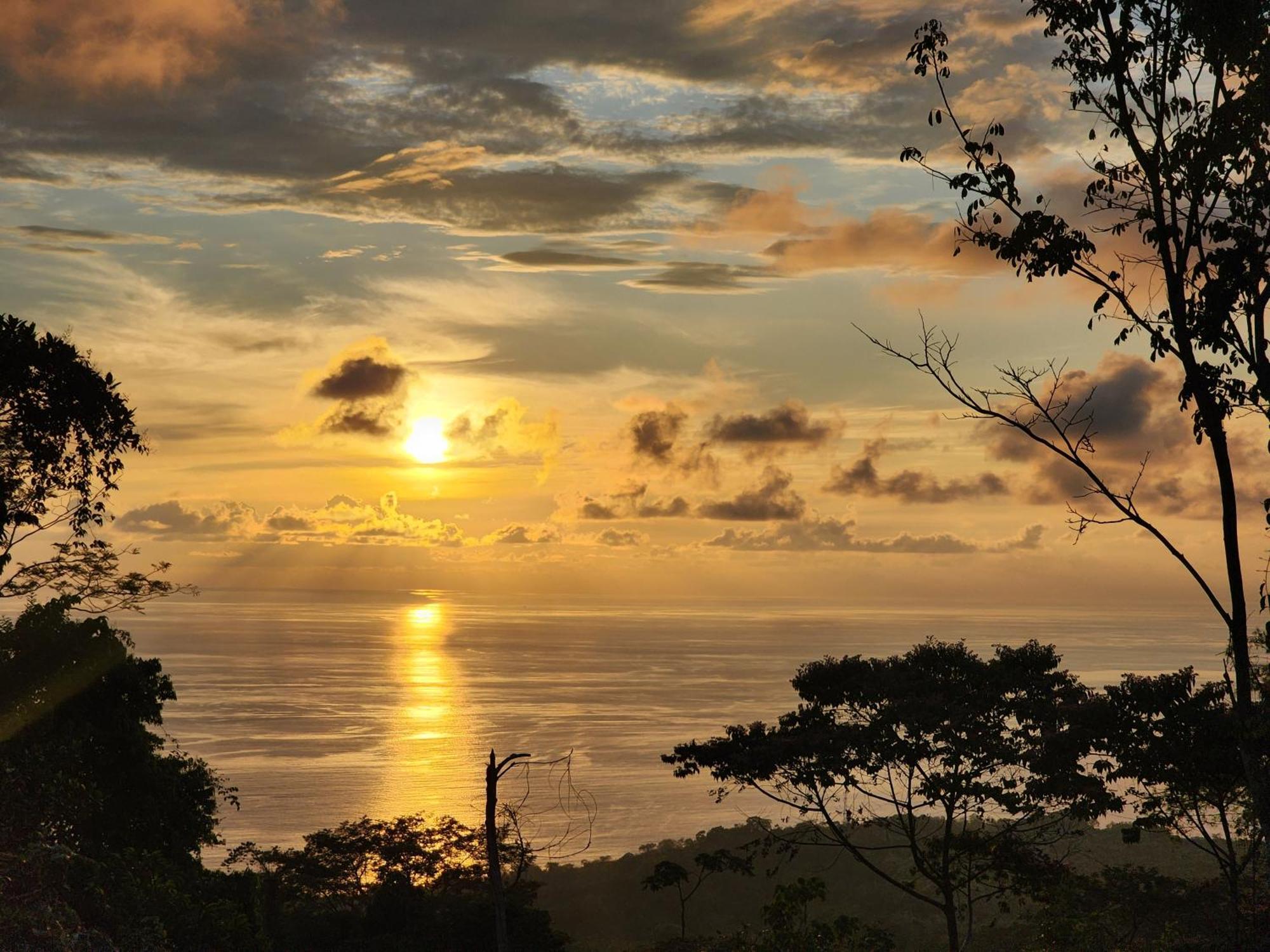 Canavida Villas & Resort Uvita Bagian luar foto