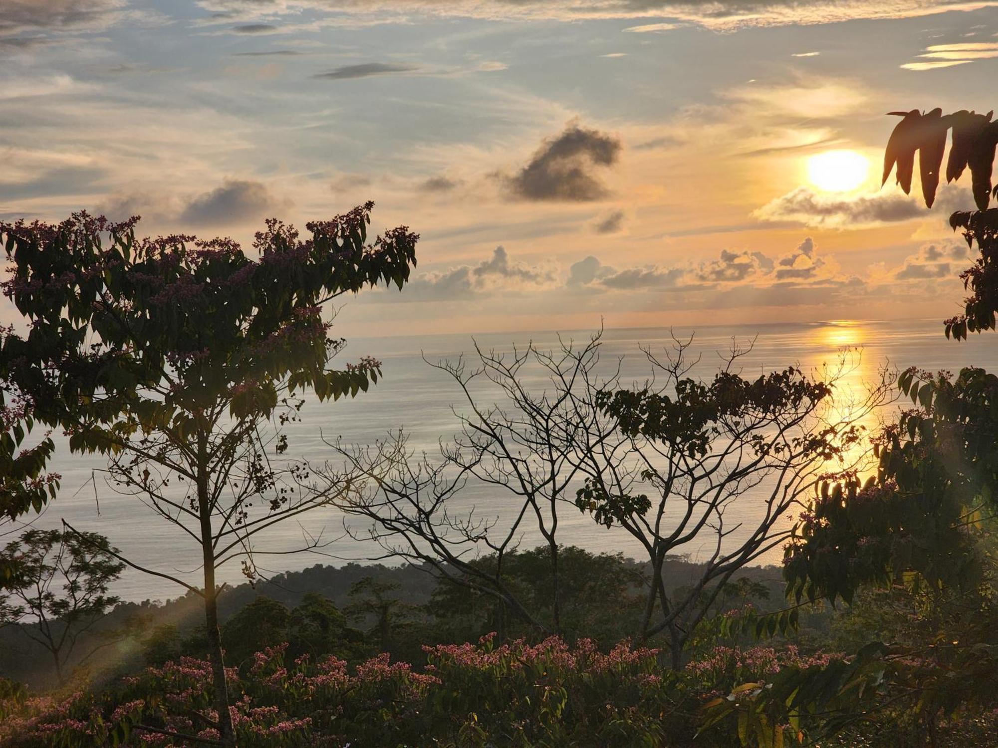 Canavida Villas & Resort Uvita Bagian luar foto